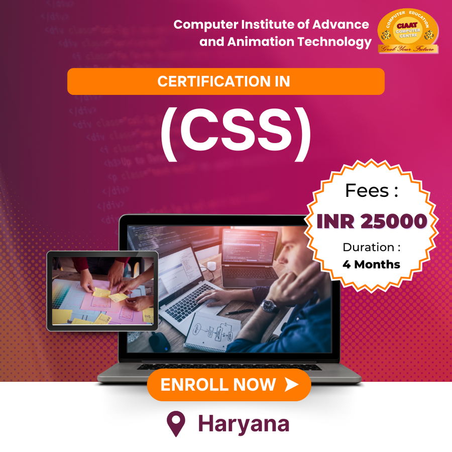 Certification in CSS at Computer Institute of Advance & Animation Tech , Haryana - Other